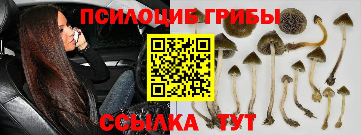 Галлюциногенные грибы MAGIC MUSHROOMS  Вход с VPN  Аргун 
